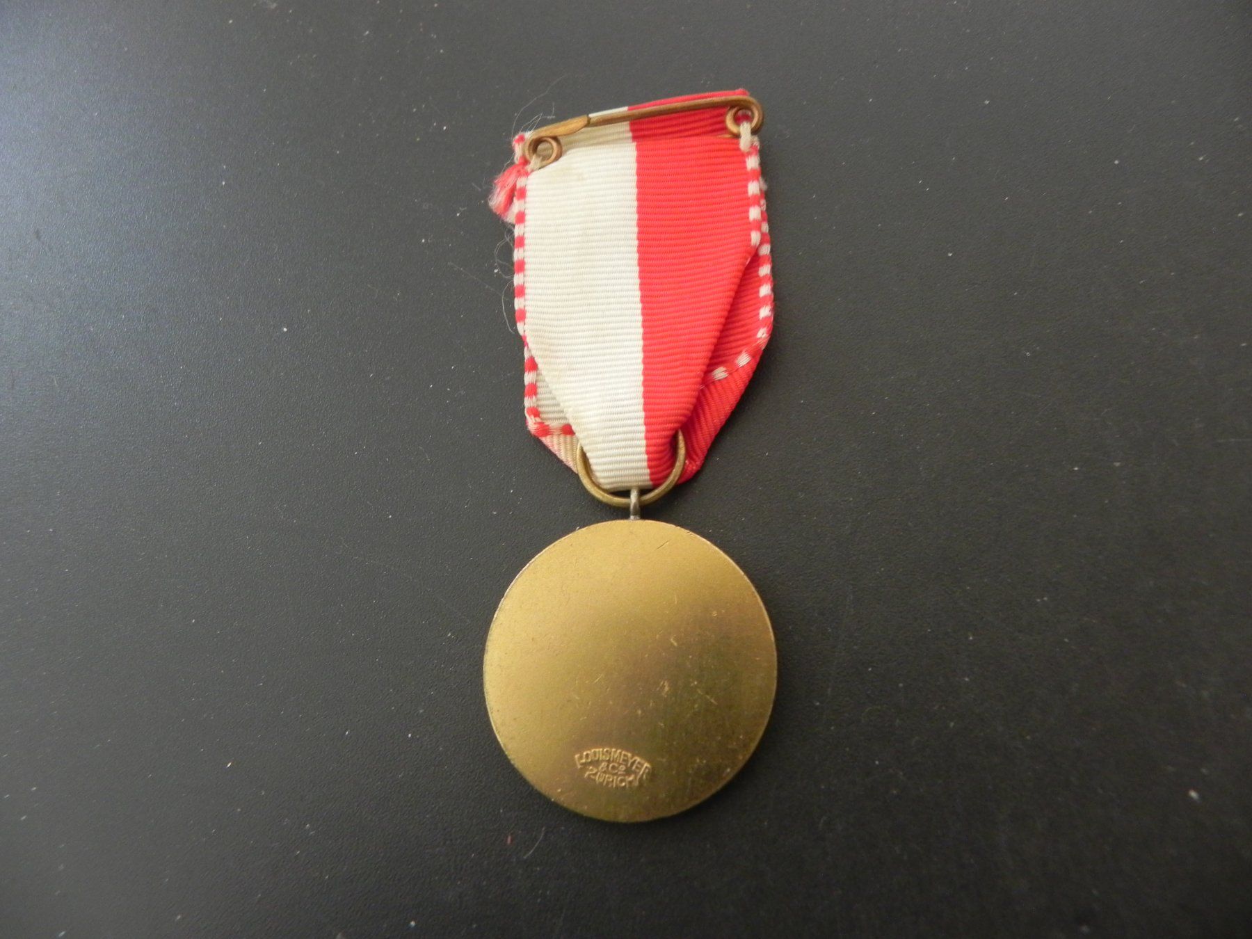 Medaglie: Ski Medaille Rigi Lauf 1973 – Usato da Biel/Bienne venduto da Gogolozi 2