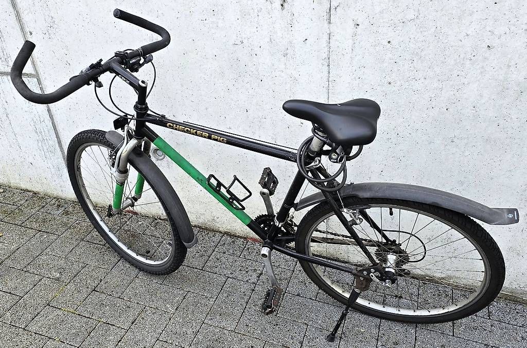 Biciclette: Velo – Usato da Büren an der Aare venduto da Krady 1