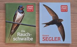 Arten Fibel Band 9 & 10, Rauchschwalbe und Segler