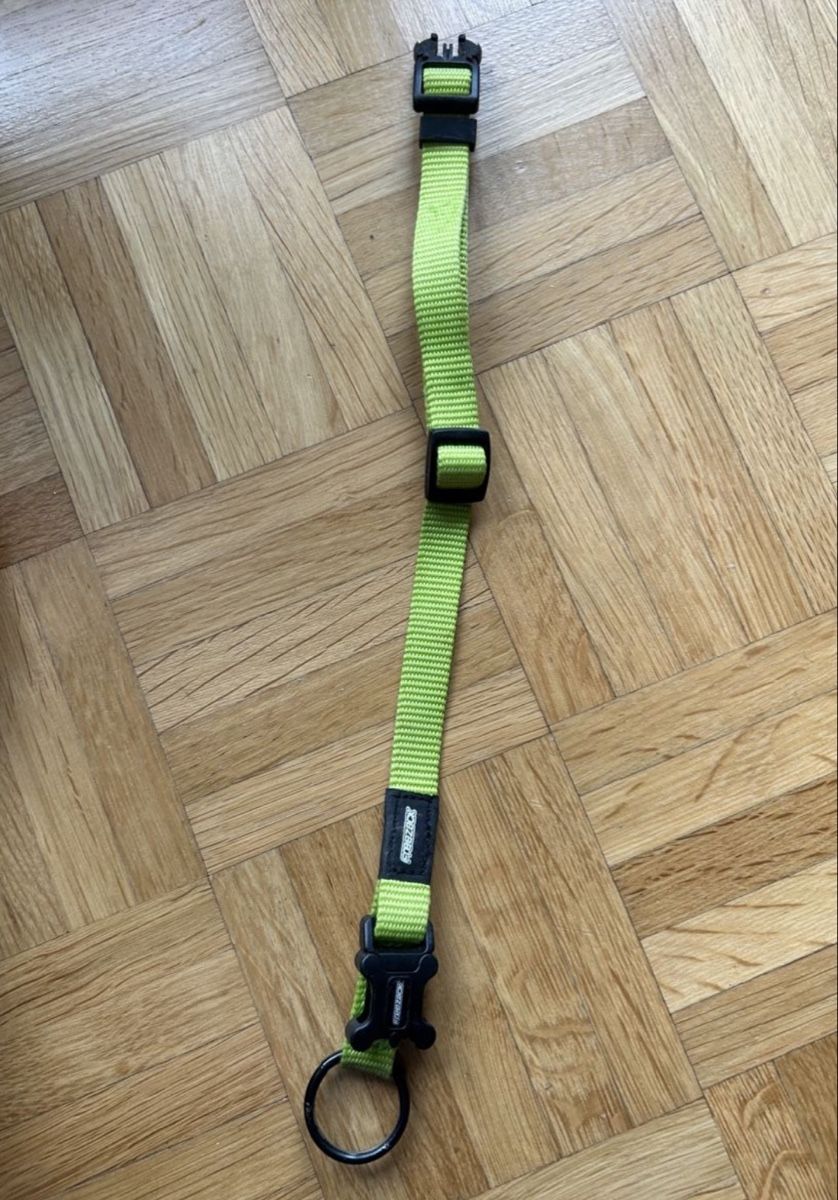 Hunter Leine & Halsband: Reezaeck Hundehalsband – Neu (gemäss Beschreibung) aus St. Gallen von oli_ryy9 1