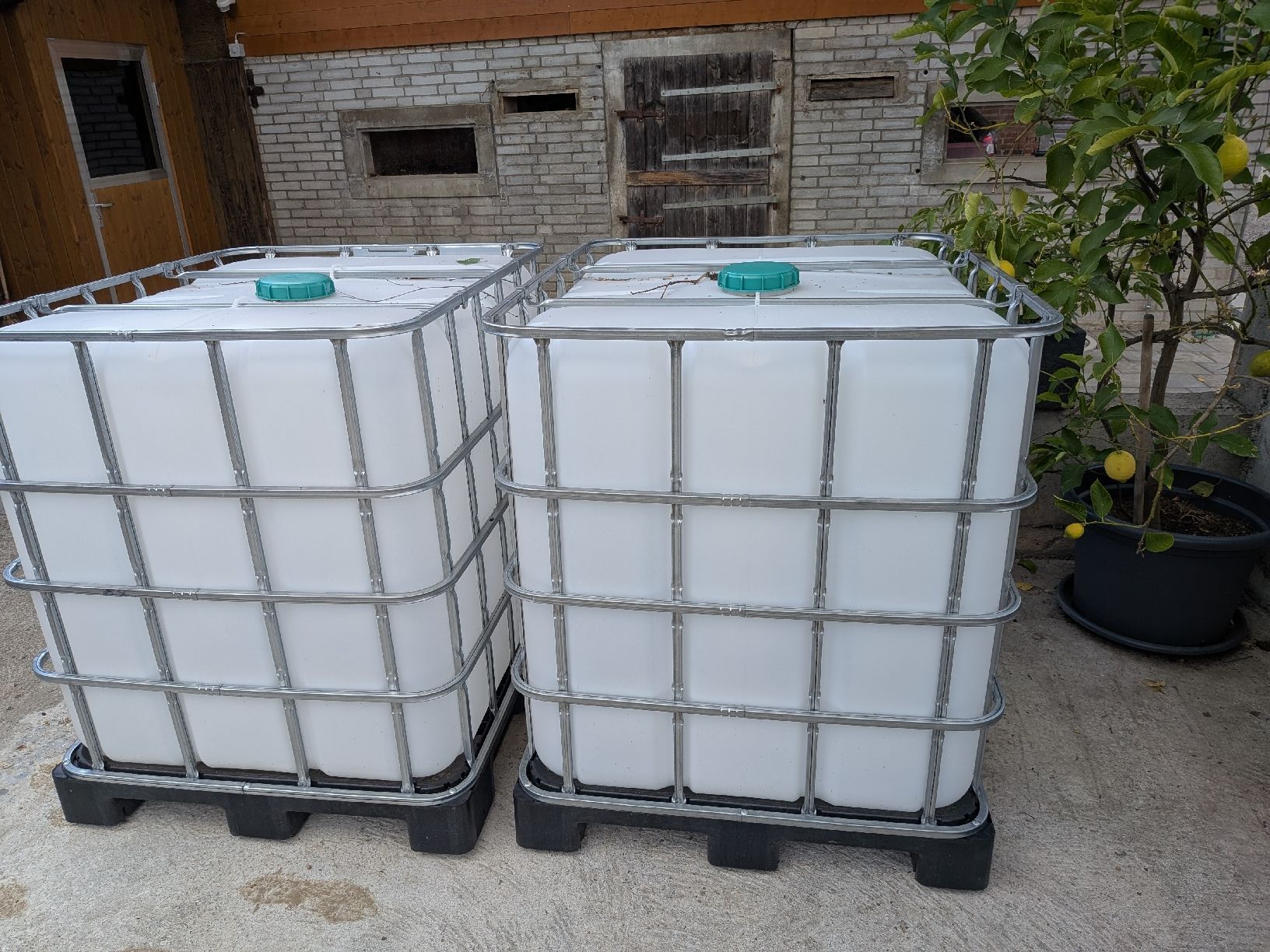 Abbeveratoi e trogoli: IBC Container 1000L mit Hahn gebraucht 2 Stück  – Usato da Schüpbach venduto da nando.moser