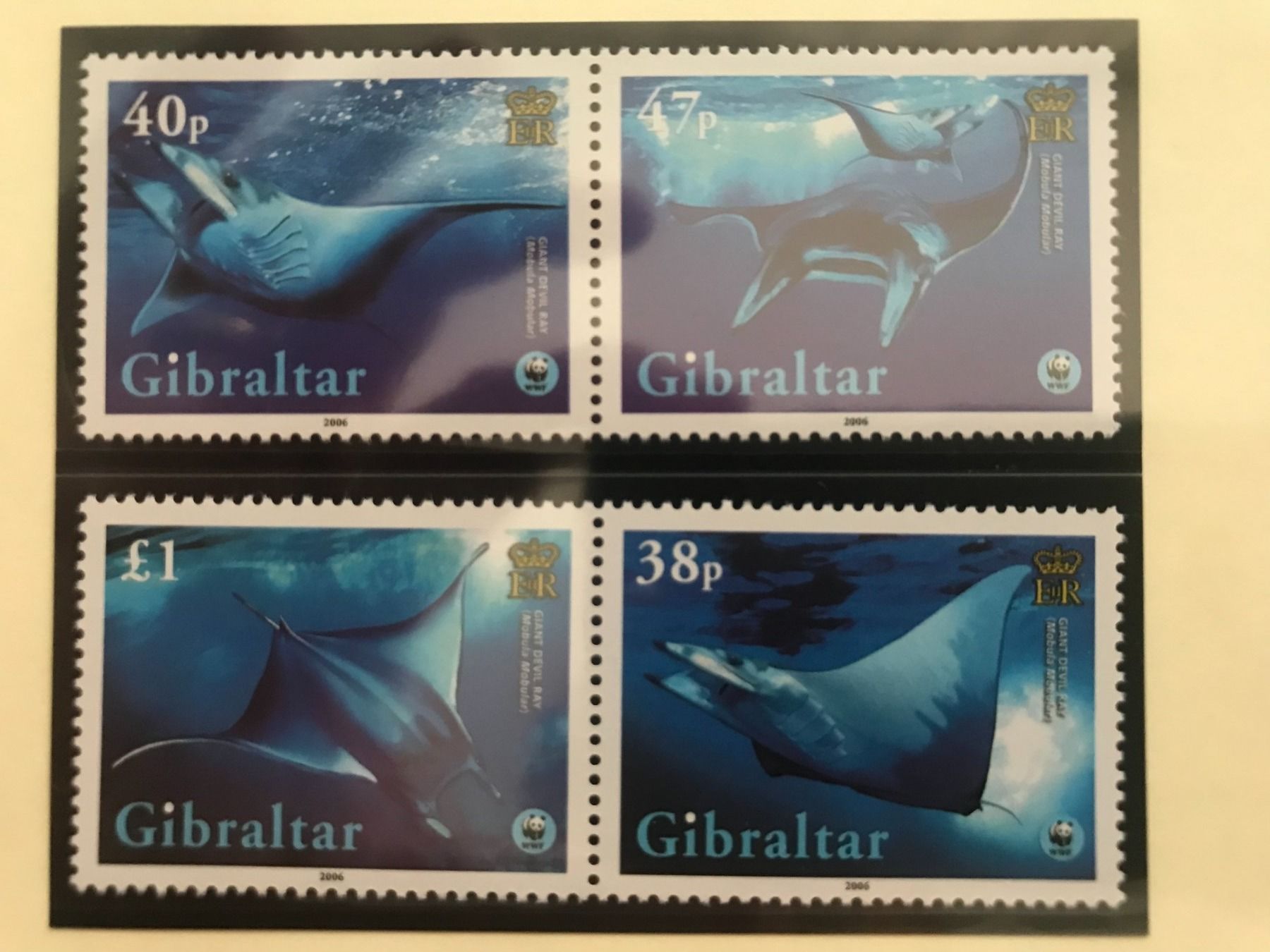 Tutti i francobolli: Gibraltar 2006 WWF Satz Meeresteufel postfrisch – Nuovo (secondo la descrizione) da Liestal venduto da schnueps