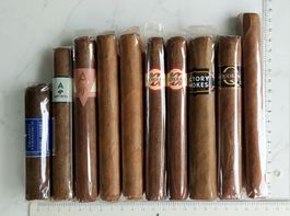10 ZIGARREN - EHER DICK, LANG, FETT FÜR LÄNGEREN RAUCHGENUSS