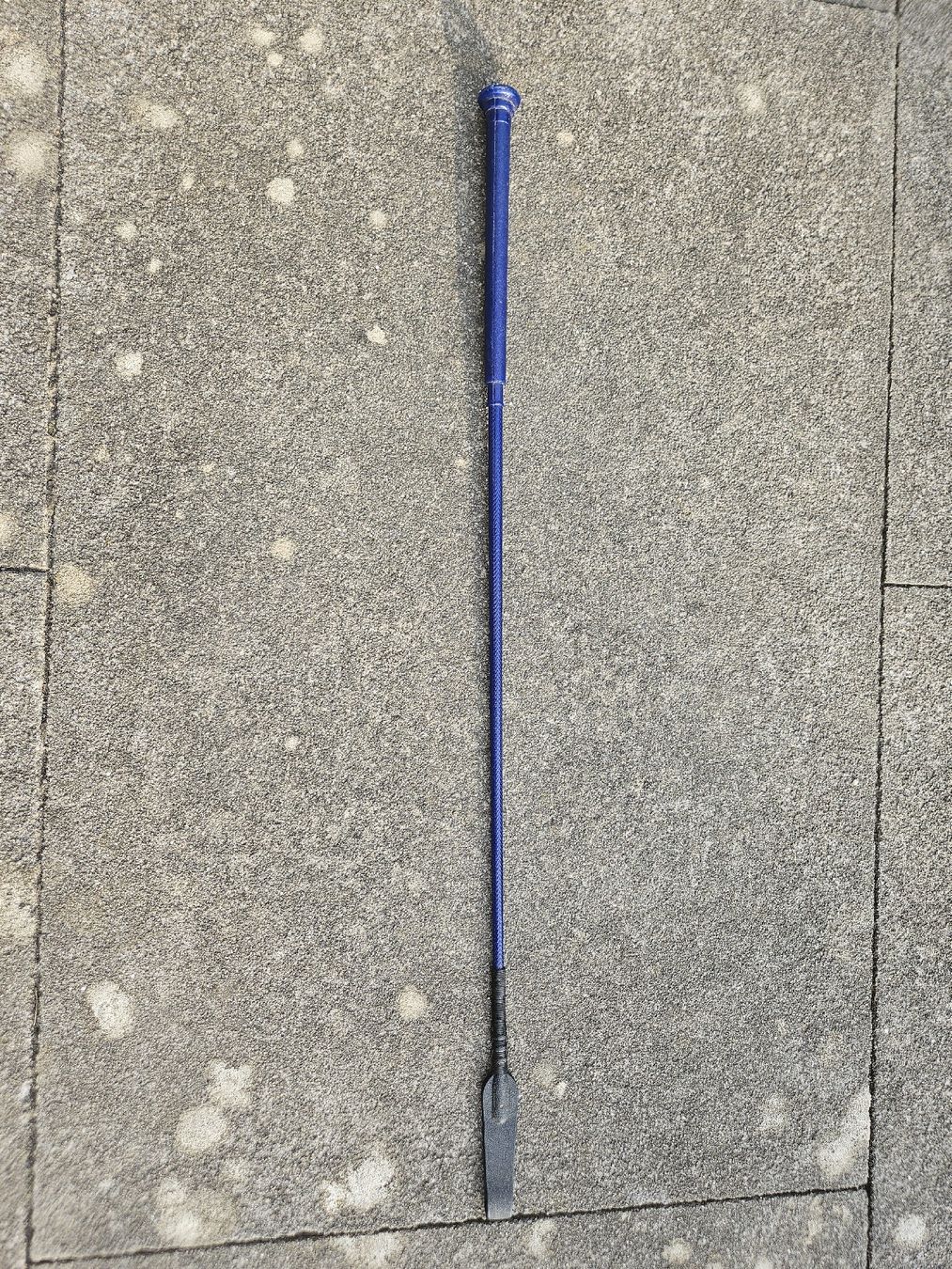 Altro in Accessori per animali: Reitgerte (blau, kurz) – Usato da Solothurn venduto da Sido.hg7