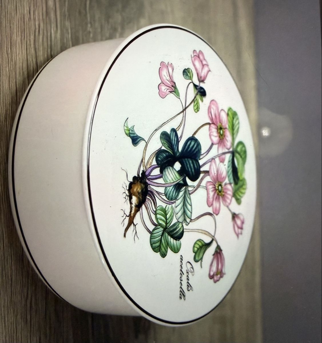 Villeroy & Boch Zuckerdosen: Deckeldose Villeroy & Boch Bontanica – Gebraucht aus Schaffhausen von Ibag