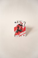 SportZoo Playoffs 25/26 – Théo Rochette (LHC)