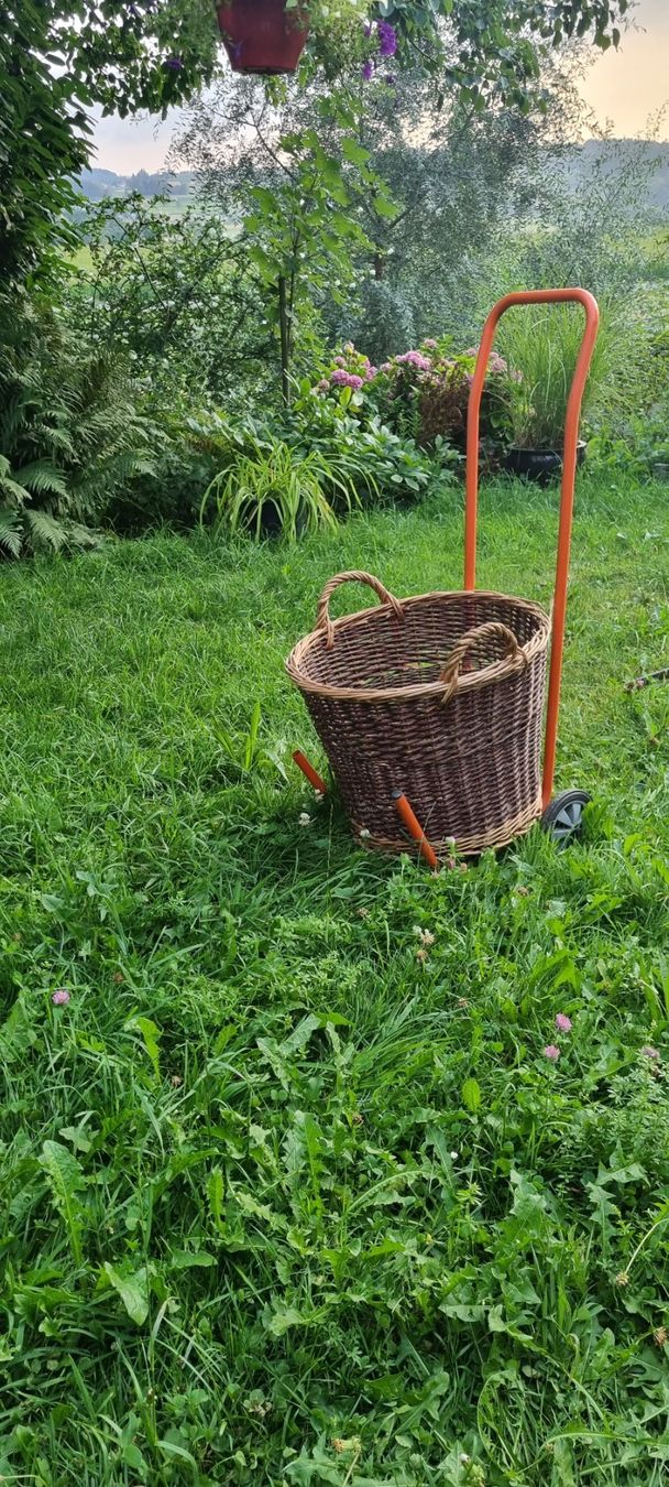 Sonstiges für Haushalt & Wohnen: Korbwagen mit Korb guter Zustand – Gebraucht aus egliswil von Maggy6