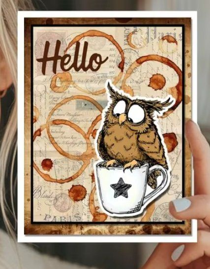 Timbri: Neues Set  Motivstempel  Eulen  11x16 cm – Nuovo e nell'imballaggio originale da Effretikon venduto da wenuss 5