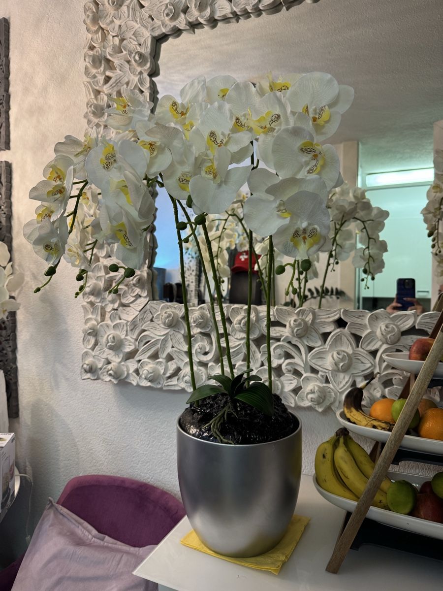 Alle Dekorationen: Künstliche Orchideen New – Neu (gemäss Beschreibung) aus Zürich von Privat4444 2