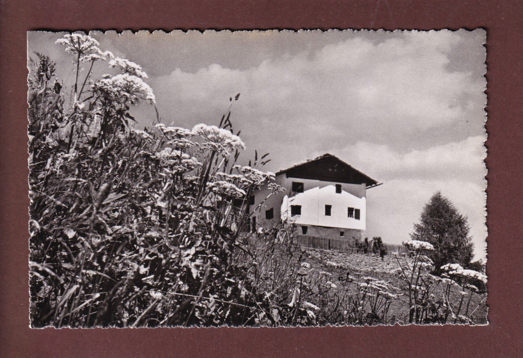 Ansichtskarten: DAVOS - Bauernhaus – Gebraucht aus Pully von nicecards