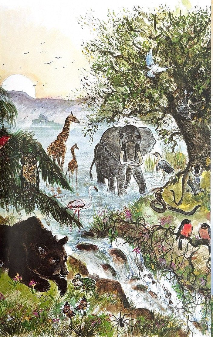 Bücher: Meine Kinderbibel – Neu (gemäss Beschreibung) aus Sarnen von Livres 5