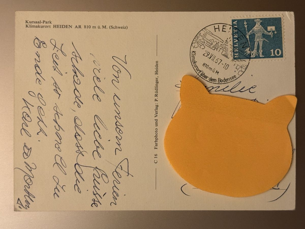 Cartoline postali: AK von Kursaalpark Heiden – Usato da Rümlang venduto da Kartenpost1 1