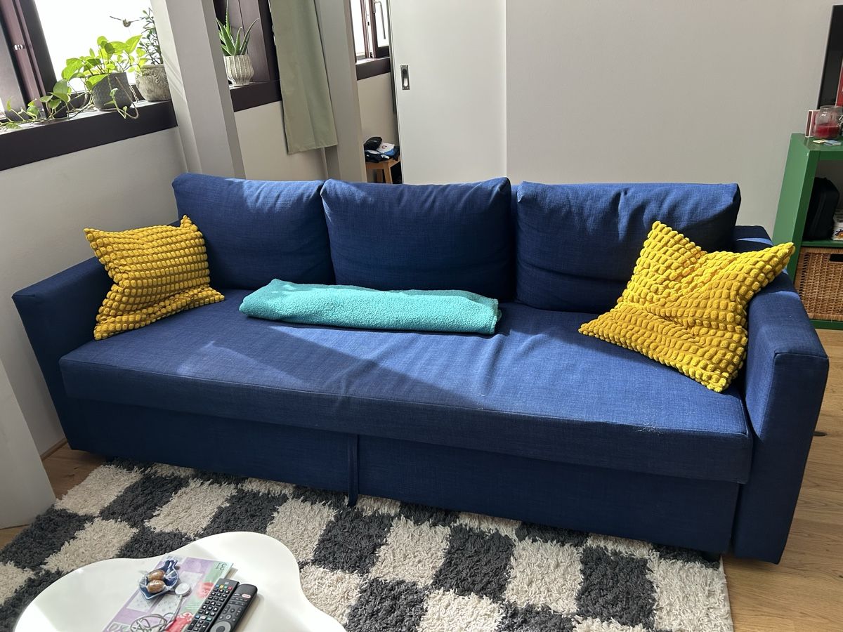 Divani: ausziehbares Sofa – Usato da Basel venduto da ell_6p98