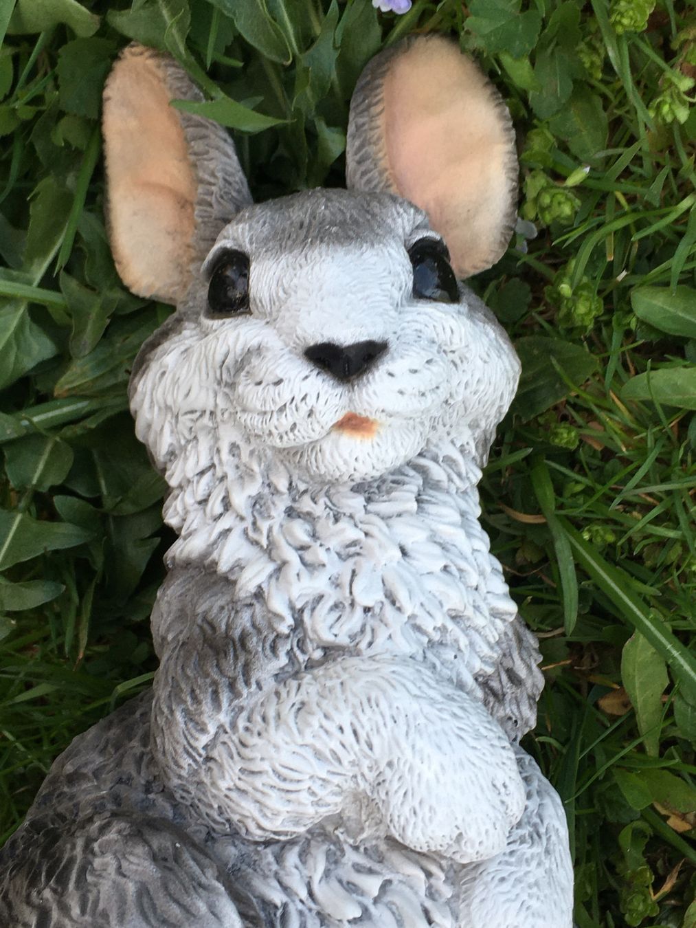 Tutte le decorazioni: Deko-Hase "Kollektion Castagna" – Usato da Bauma venduto da Budgerigar 2