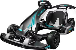 Segway-Ninebot GoKart PRO 2