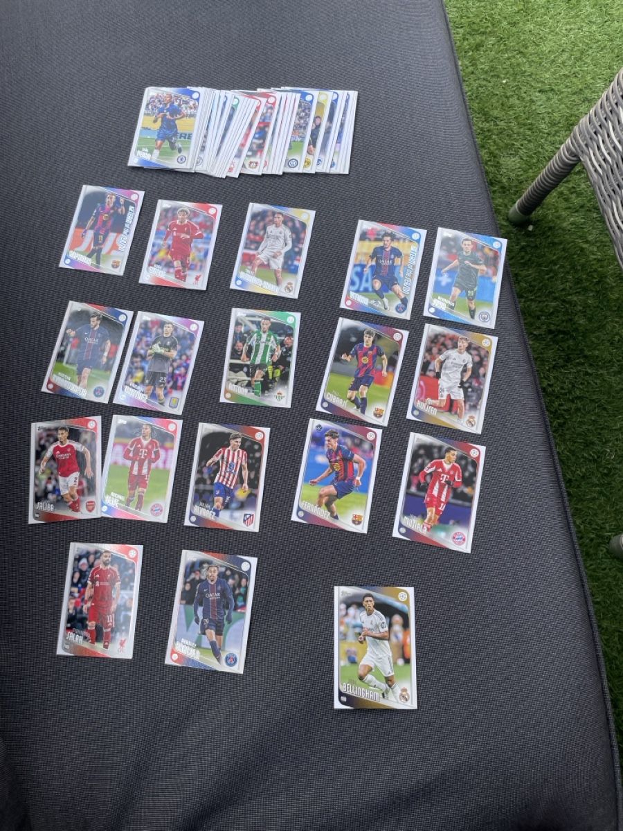Panini Carte collezionabili: Fussball Sammelkarten Konvolut – Nuovo (secondo la descrizione) da Winterthur venduto da vgu_9ff7