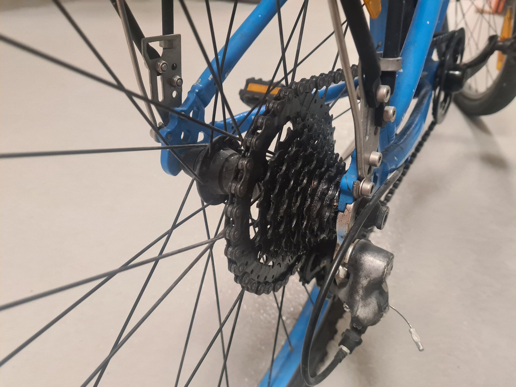 Trek Biciclette: Kindervelo 24 Zoll – Usato da Urdorf venduto da Jamar1 2