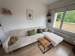 Ecksofa mit Schlaffunktion  275x150 cm