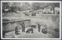 BERN Bärengraben - La Fosse aux Ours