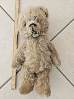 alter Bär