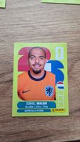 Panini WM 2026 Netherlands Donyell Malen