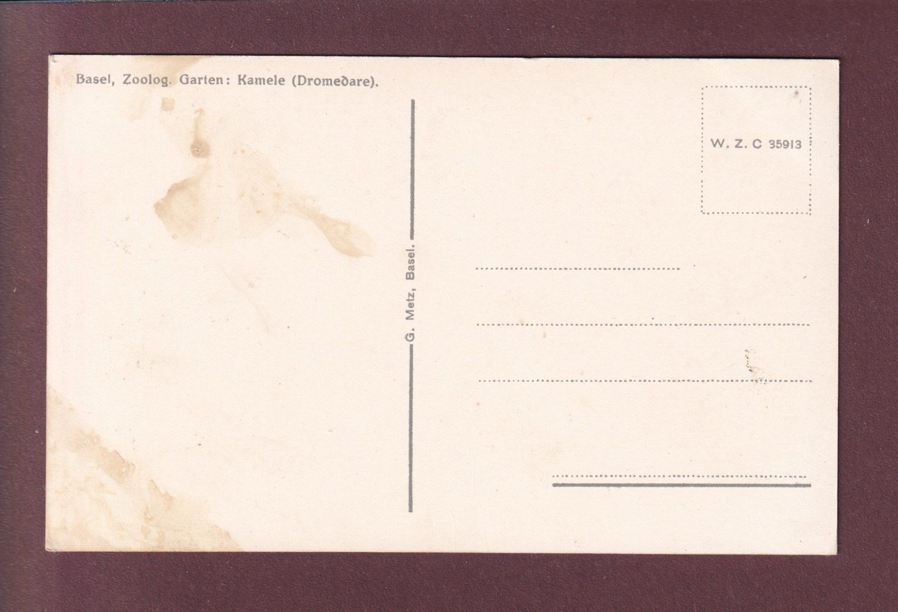 Cartoline postali: BASEL - Zoologischer Garten - Kamele – Usato da Pully venduto da nicecards 1
