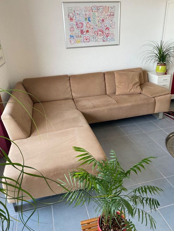 Sofa zu verschenken Kaufen auf Ricardo