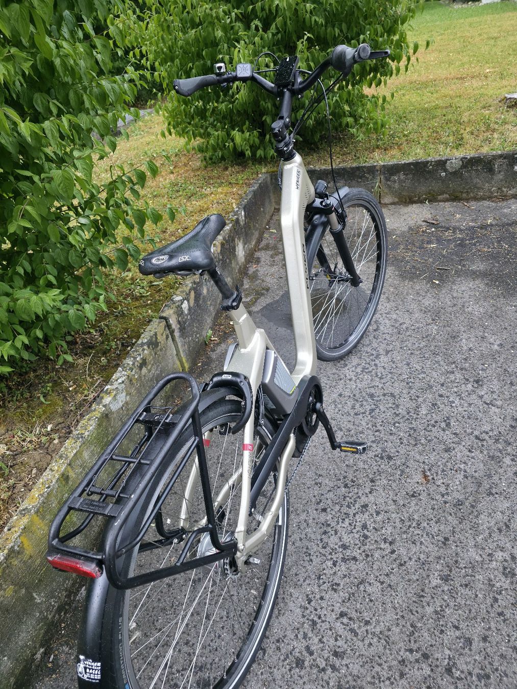Flyer Biciclette: flyer gotour 5 batery defekt – Difettoso da Frick venduto da zij_86lw 5