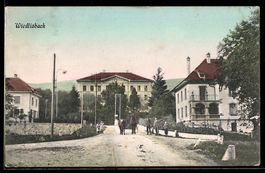 AK Wiedlisbach, Strassenpartie mit Pferdekutsche