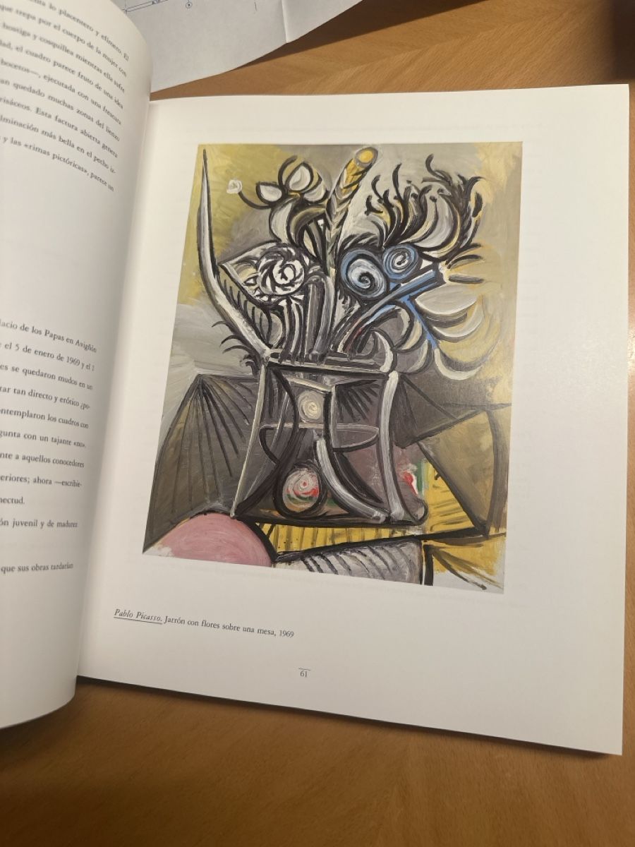 Riviste & Magazine: Sammlung Beyeler Kataloge mit Plan vom Museum – Usato da Saanen venduto da Mikeman2 6