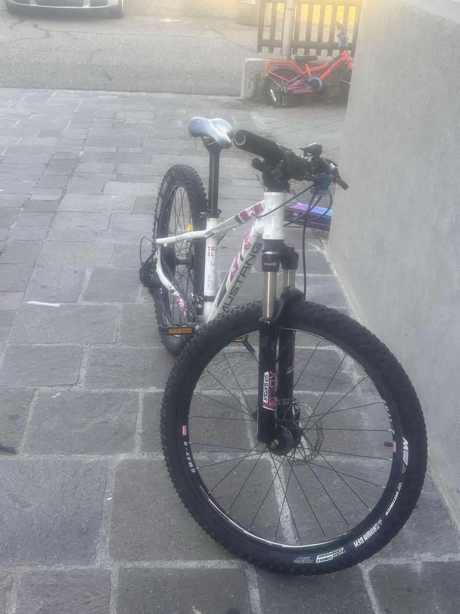 Biciclette: Velo  – Usato da Dulliken venduto da seb_t8ml 2