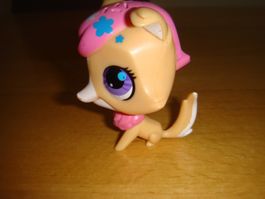 Littlest pet shop Collie