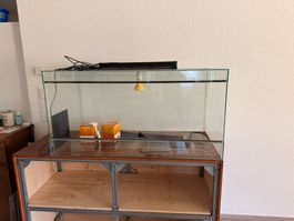 Terrarium mit Holzunterbau und Zubehör gebrauchter Zustand