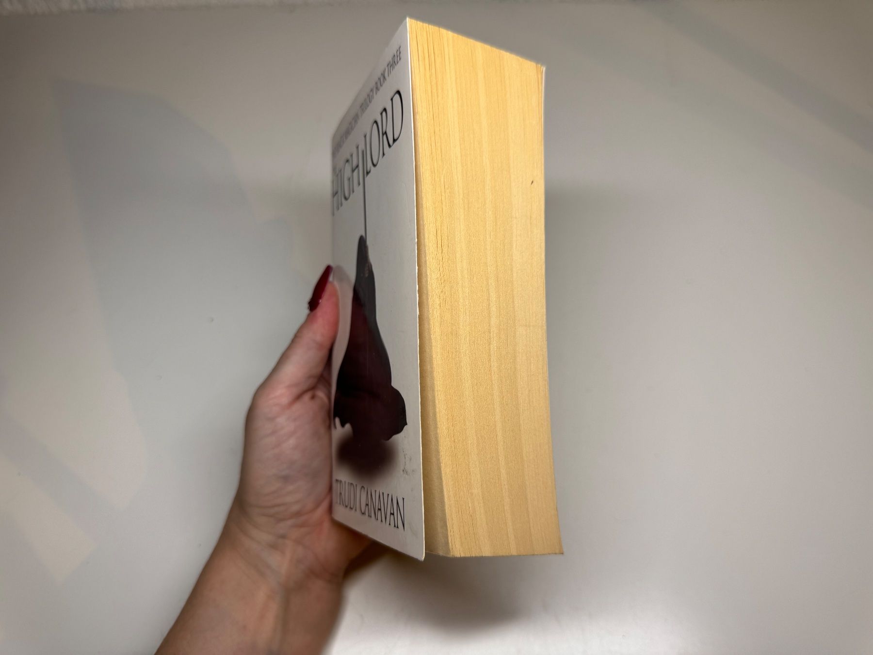 Bücher: NOVEL: trudi Canavan, The High Lord – Gebraucht aus Grosswangen von English_books 1