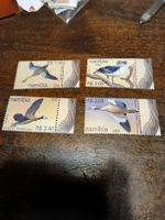 Timbres rares Namibie 2000 - Oiseaux aquatiques exotiques