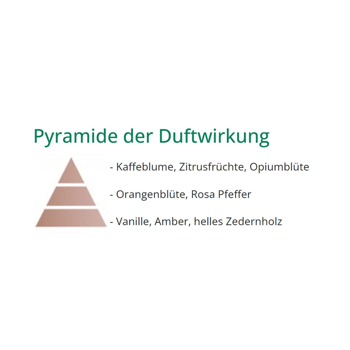 Spray per ambienti: Duftlampe Nachfüllung Samt Orient 500ml – Nuovo e nell'imballaggio originale da Wettingen venduto da Swala 2