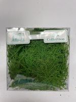SIA Collection Moos, Bastelmoos, Dekoration, Neu & OVP!