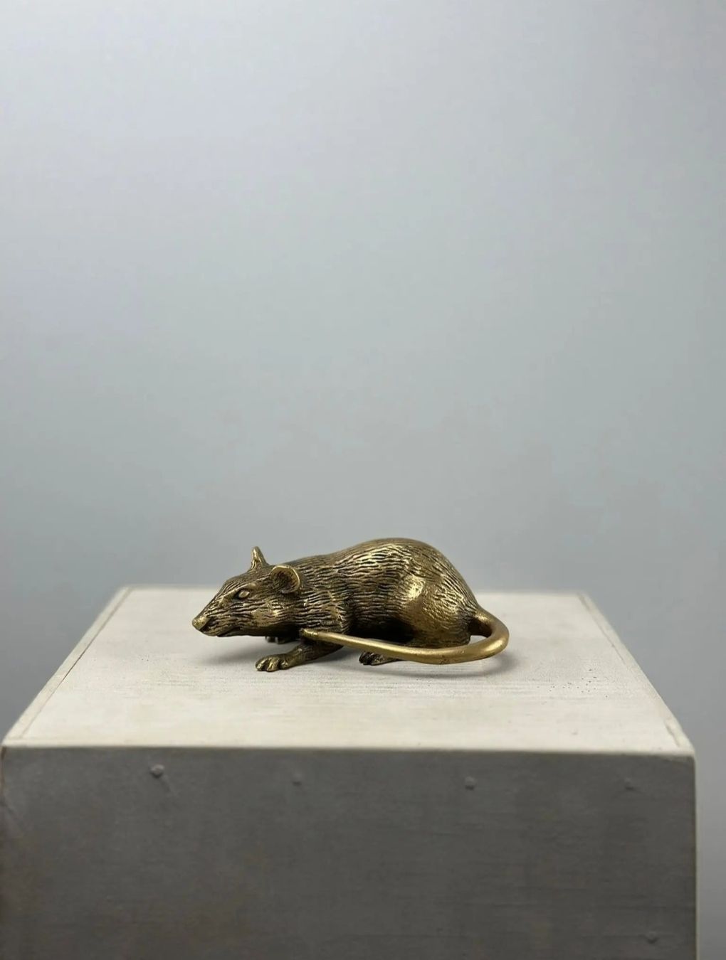 Statuette: Rat en bronze – Nuovo (secondo la descrizione) da Lausanne venduto da Toko_Lausanne