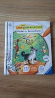 Tiptoi Buch Merken und Konzentrieren 4-6 Jahre alt