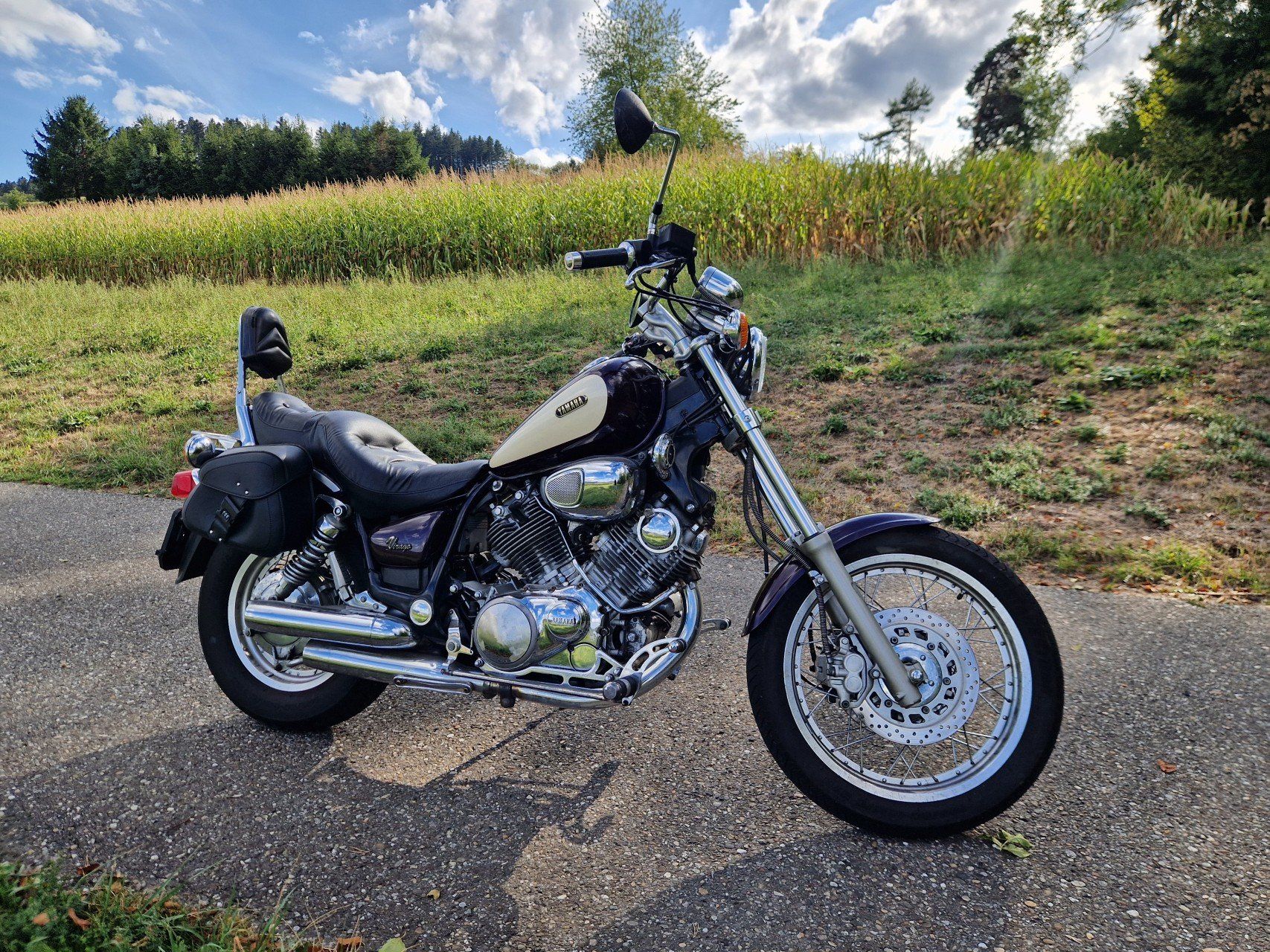 Yamaha Cruisers: Yamaha Virago XV 750 – D'occasion à Reitnau par Timepower