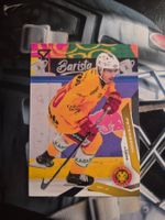 Andre Petersson SCL Tigers 2025/26 Sportzoo