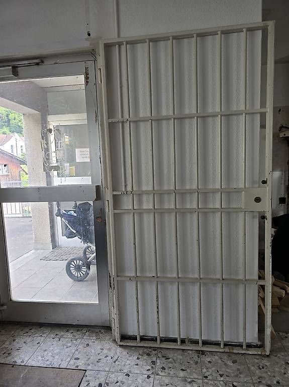 Porte: Glastür mit Rahmen und Gitter – Usato da Bärschwil venduto da berofeh 3