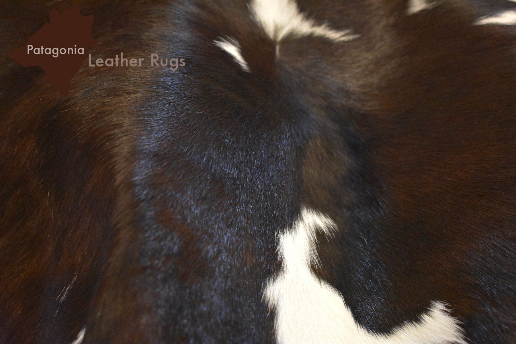 Tappeti: echtes Kalbfell dark Brown/white – Nuovo e nell'imballaggio originale da Arbedo venduto da patagonialeatherrugs 1