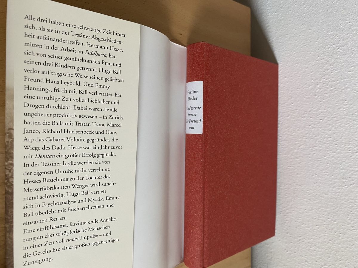 Libri: Und werde immer Ihr Freund sein - Eveline Hasler – Usato da Schwarzenburg venduto da Michellu 4