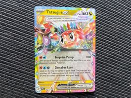 Pokemon Tatsugiri EX Surging Sparks Englisch near Mint