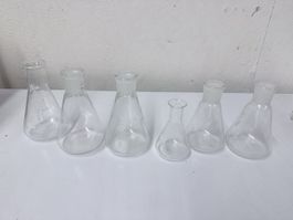 6x Erlenmeyerkolben 250 ml