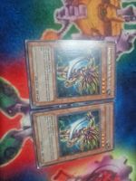 Yugioh 2 x Amazonische Schwertkämpferin TP7