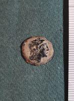 Antike griechische Münze. Nördliche Schwarzmeerk. 4 v.Chr.
