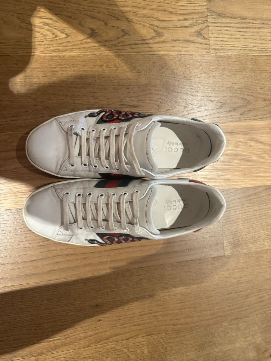 Gucci Scarpe da uomo: Gucci Sneaker Gr. 43 – Usato da Rotkreuz venduto da she_8nyq 1