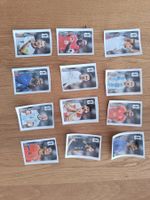 Alle 12 Coca Cola Panini Sticker WM 2026